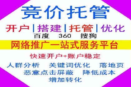 金融行业SEM服务的创新应用与效果